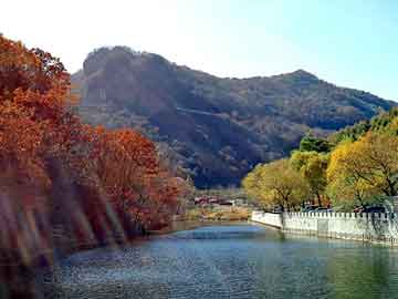 新澳天天开奖资料大全旅游团，搓泥浴宝